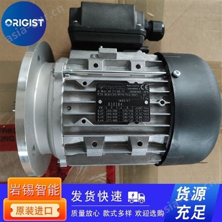 Dunkermotoren电机AC-Motor DR 62.0x80-4 SNR 88184 030
