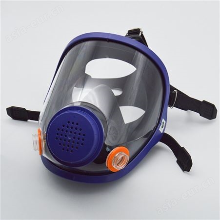 生宝FF-B防毒 罩防甲烷二氧化硫酸性气体化工喷漆面具套装批发