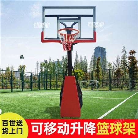 幼儿园可升降移动幼儿园篮球架 通奥体育