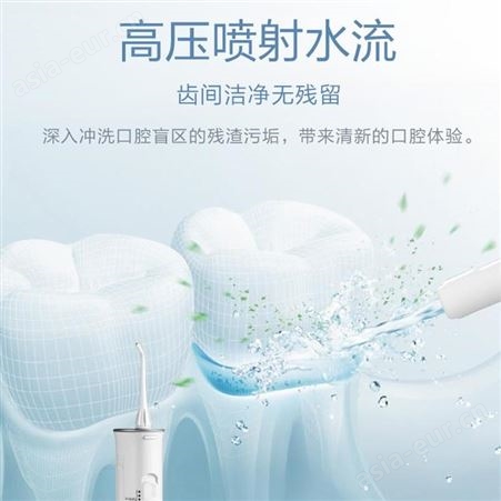 松下（Panasonic）冲牙器 洗牙器 水牙线 非电动牙刷 全身水洗 便携式设计 EW-ADJ4