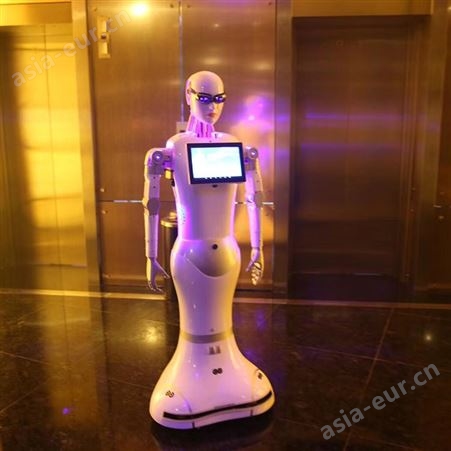智能人形小澳机器人特点 供应卡特人形机器人