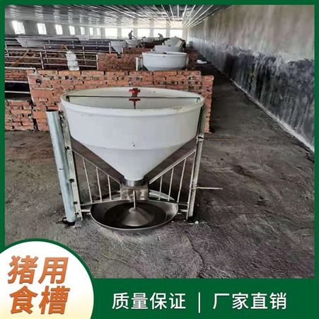 料桶猪用干湿料槽养殖饲料存储料槽自动干湿喂料器猪用自动采食槽
